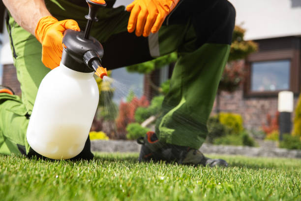 Best Wildlife Control Services  in Chevy Chase Village, MD