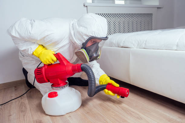 Reliable Chevy Chase Village, MD Pest Control Solutions